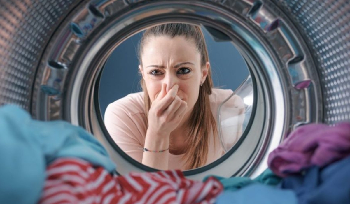 Что вызывает неприятный запах в стиральной машинке