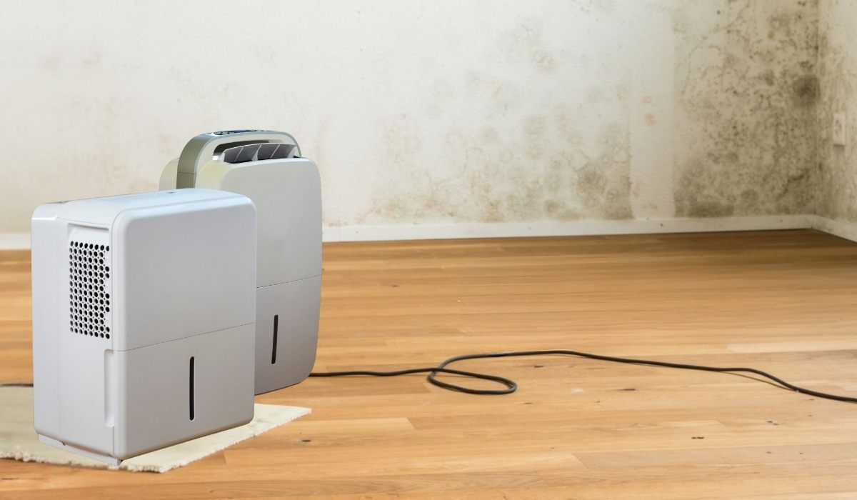 Для боротьби з високою вологістю в квартирі важливо правильно вибрати відповідний пристрій