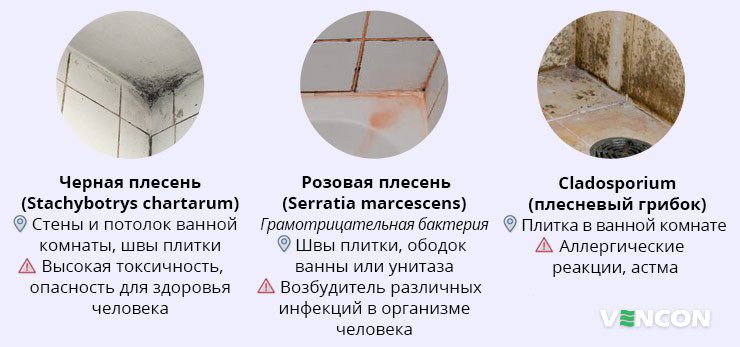 Плесень в ванной: что делать, как удалить со стен, потолка и швов, лучшие средства | natali-fashion.ru