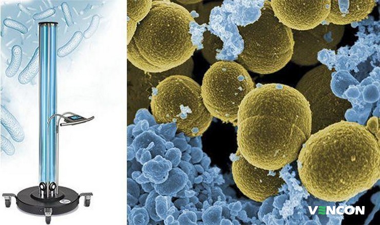 Бактерицидные облучатели помогают бороться вирусами, бактериями. 