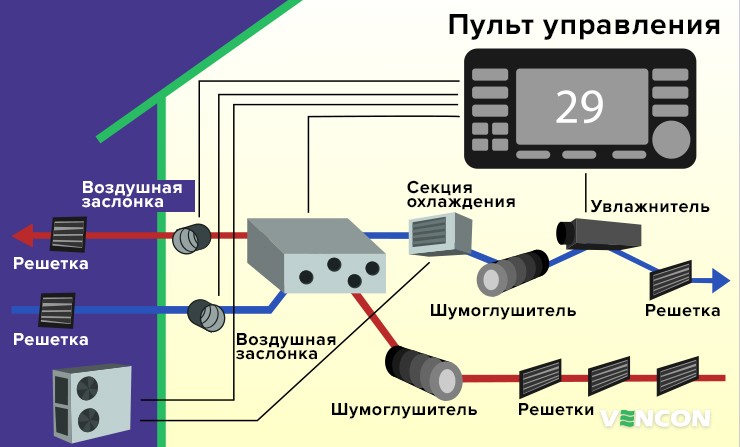 Иммиграция под микроскопом - 