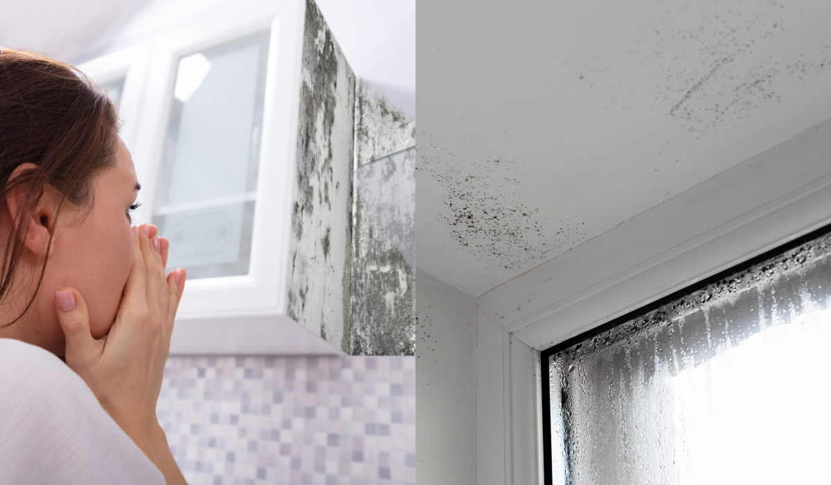 Как влияет повышенная влажность на состояние комнаты и здоровье?