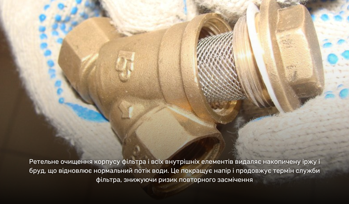 Очищення фільтра грубої механічної очистки: відновлює нормальний потік води і тиск