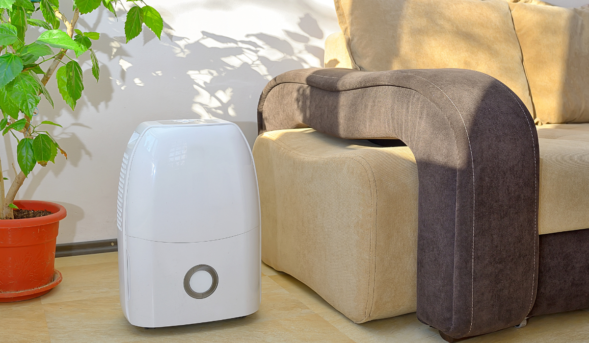 Осушитель воздуха как средство борьбы с влажностью в помещении