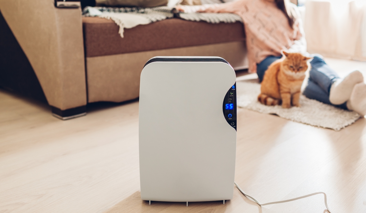 Осушитель воздуха как универсальное устройство для разных типов помещений