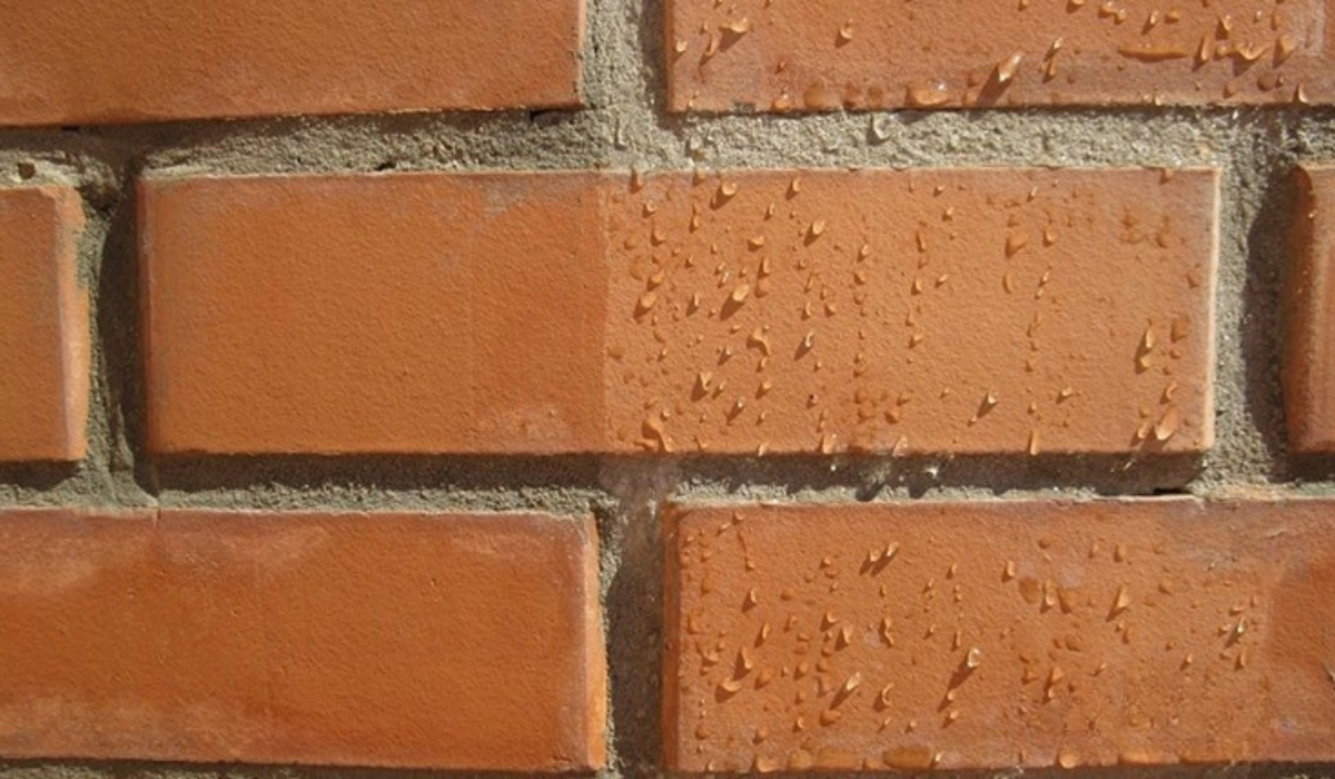 Почему так важна корректная теплоизоляция и к чему приводит неправильный выбор толщины уплотнителя для стен