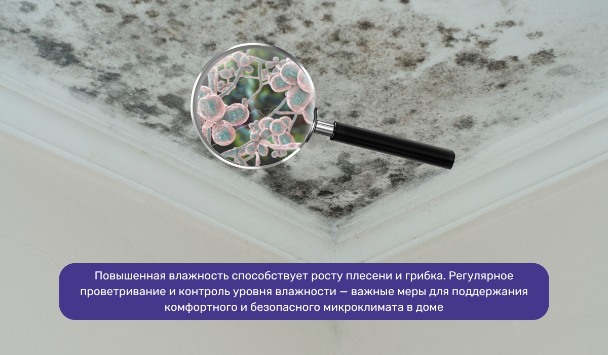 Повышенная влажность в доме: опасность которую она скрывает