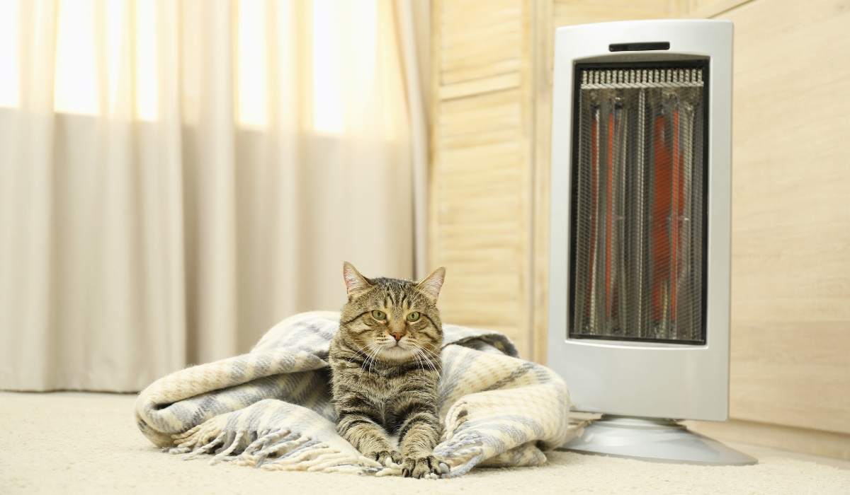 Инфракрасный обогреватель как один из удачных вариантов обогревателя