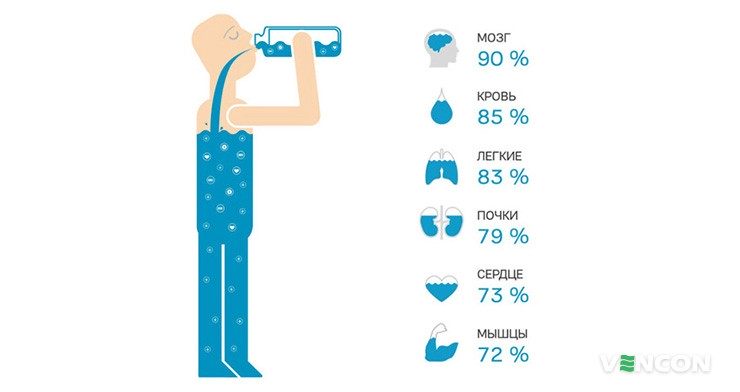 Почему часто хочется пить воду: 5 основных причин