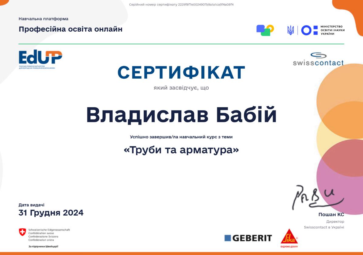 Сертифікат - Владислав Бабій