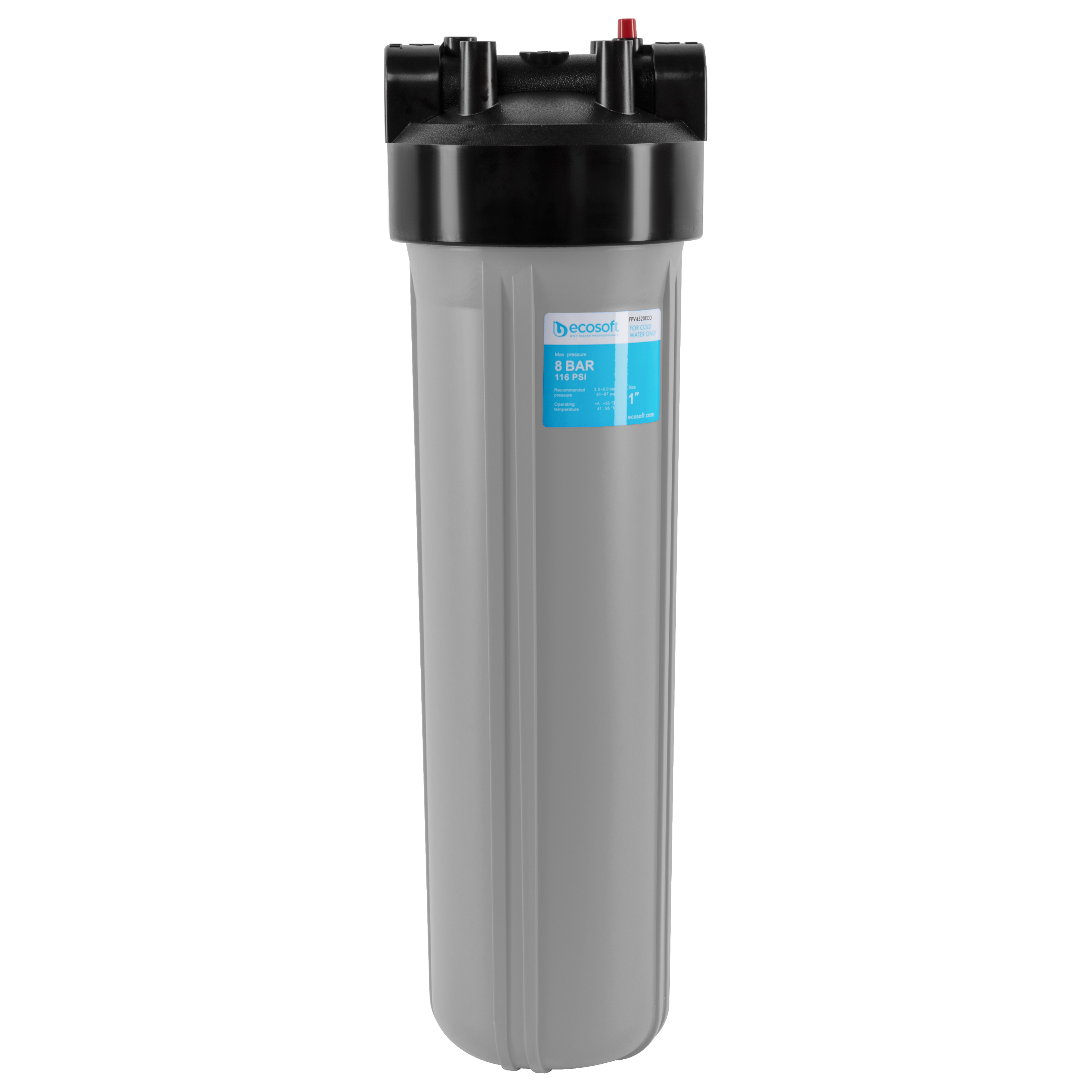 Фильтр-колба Ecosoft для воды Ecosoft BB 20 1” FPV4520ECO