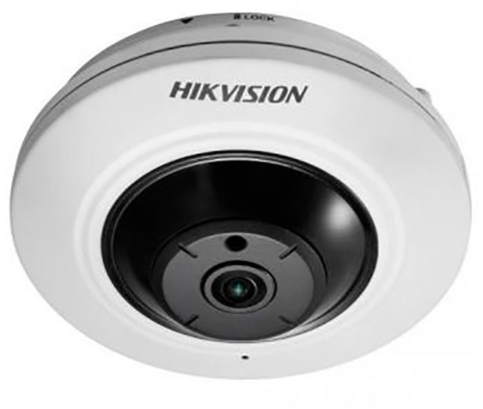 Hikvision DS-2CD2955FWD-IS (1.05)
