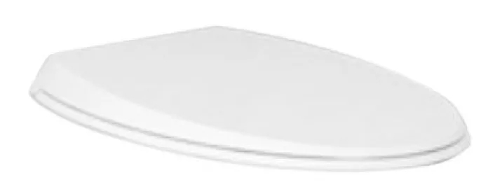 Характеристики матовое сиденье для унитаза Rak Ceramics CLOSC3901500