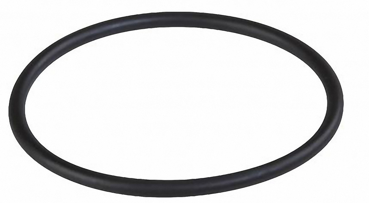 Цена кольцо уплотнительное Atlas Filtri для колбы Mignon/Dosafos (AA7510162) в Черкассах