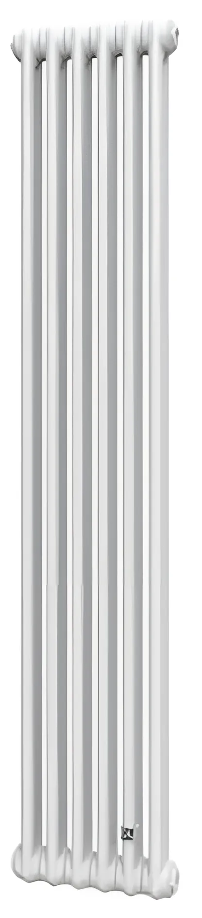 Трубчатый радиатор DeLonghi Multicolumn 1500 2 колонны 6 секций боковое 1/2 RAL9016 (0Q0021500060000) в интернет-магазине, главное фото