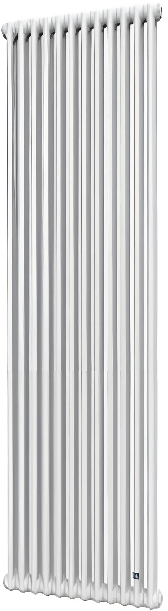 Трубчатый радиатор DeLonghi Multicolumn 2000 2 колонны 12 секций боковое 1/2 RAL9016 (0Q0022000120000) в интернет-магазине, главное фото