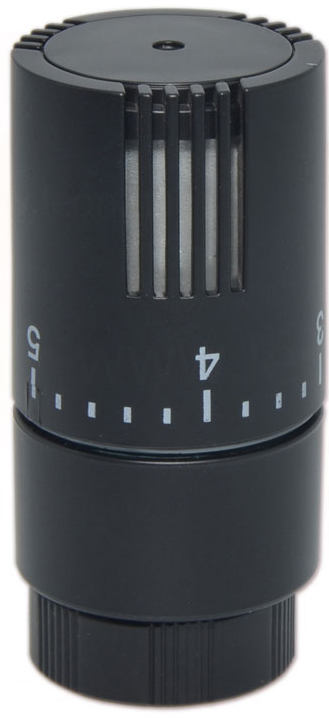 Термоголовка Carlo Poletti A498 М30х1,5 Black Matte (400A000000) в интернет-магазине, главное фото
