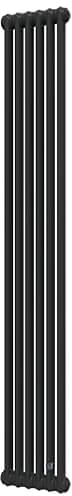 Delonghi Multicolumn H=2000 2-6 (секцій) конф.D (нижнє 1/2") Δt50=854 W RAL9005MATT (0Q10220000600D0RAL9005M)