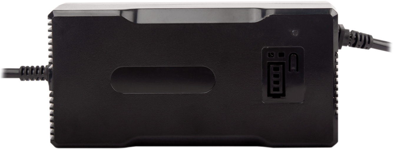 LogicPower LiFePO4 24V (29.2V)-7A-168W (14582)