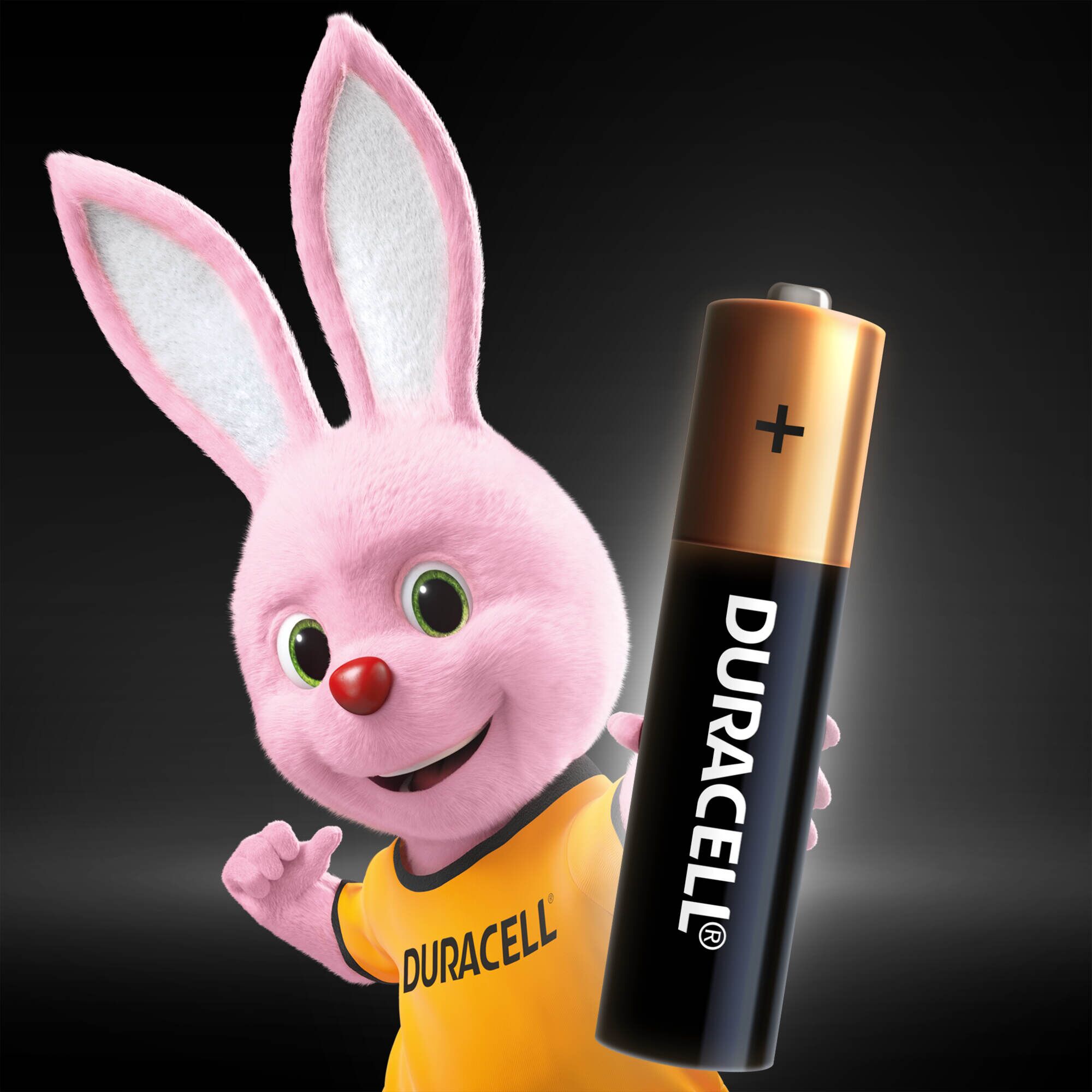 продаём Duracell LR06 MN1500 12шт. (5000394203334) в Украине - фото 4
