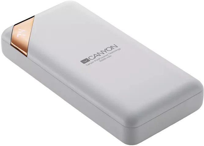 Повербанк Canyon PB-202 20000 mAh (CNE-CPBP20W) цена 1288.56 грн - фотография 2