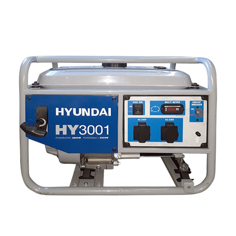 Генератор Hyundai HY3001 цена 32857 грн - фотография 2