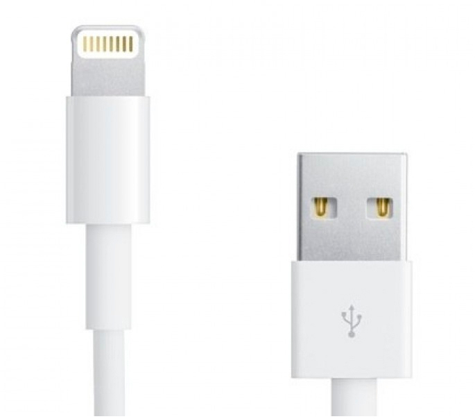 Кабель PowerPlant USB 2.0 AM to Lightning 1.0m (DV00DV4042) в интернет-магазине, главное фото
