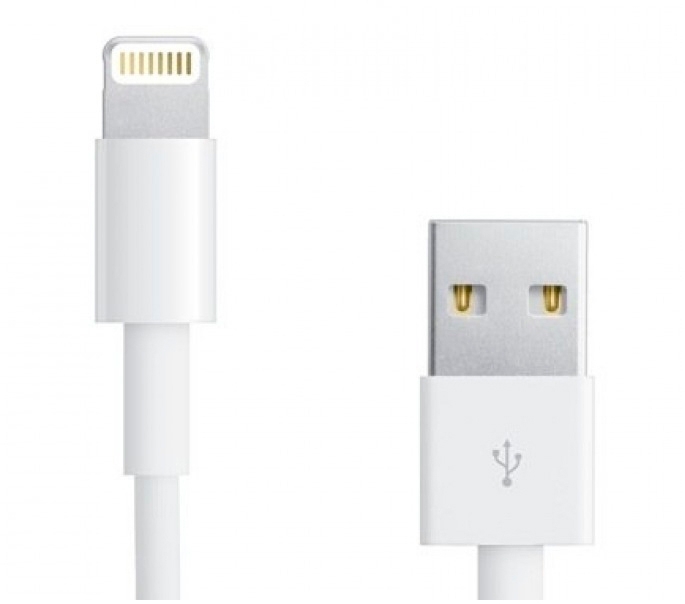 PowerPlant USB 2.0 AM to Lightning 1.0m (DV00DV4042)