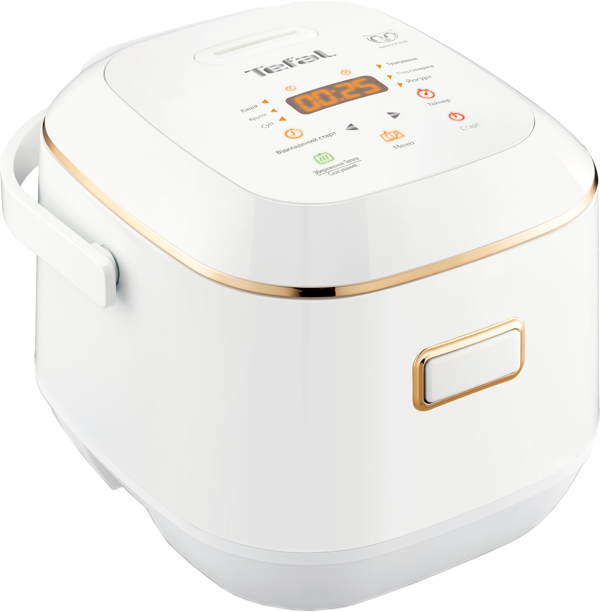 Tefal Mini Multicooker RK601134