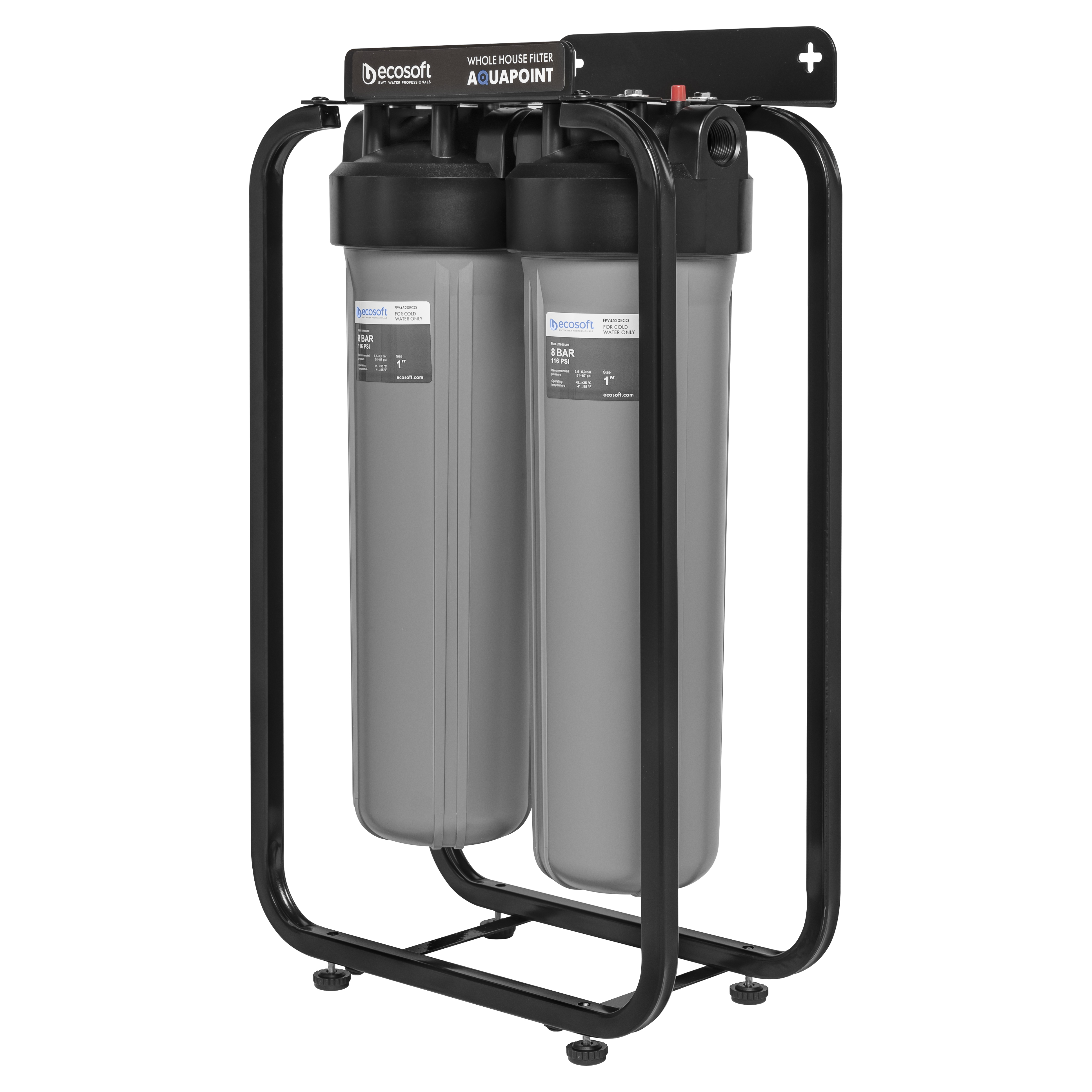 Фильтр для воды Ecosoft AquaPoint FPV24520SECOSTD в Житомире