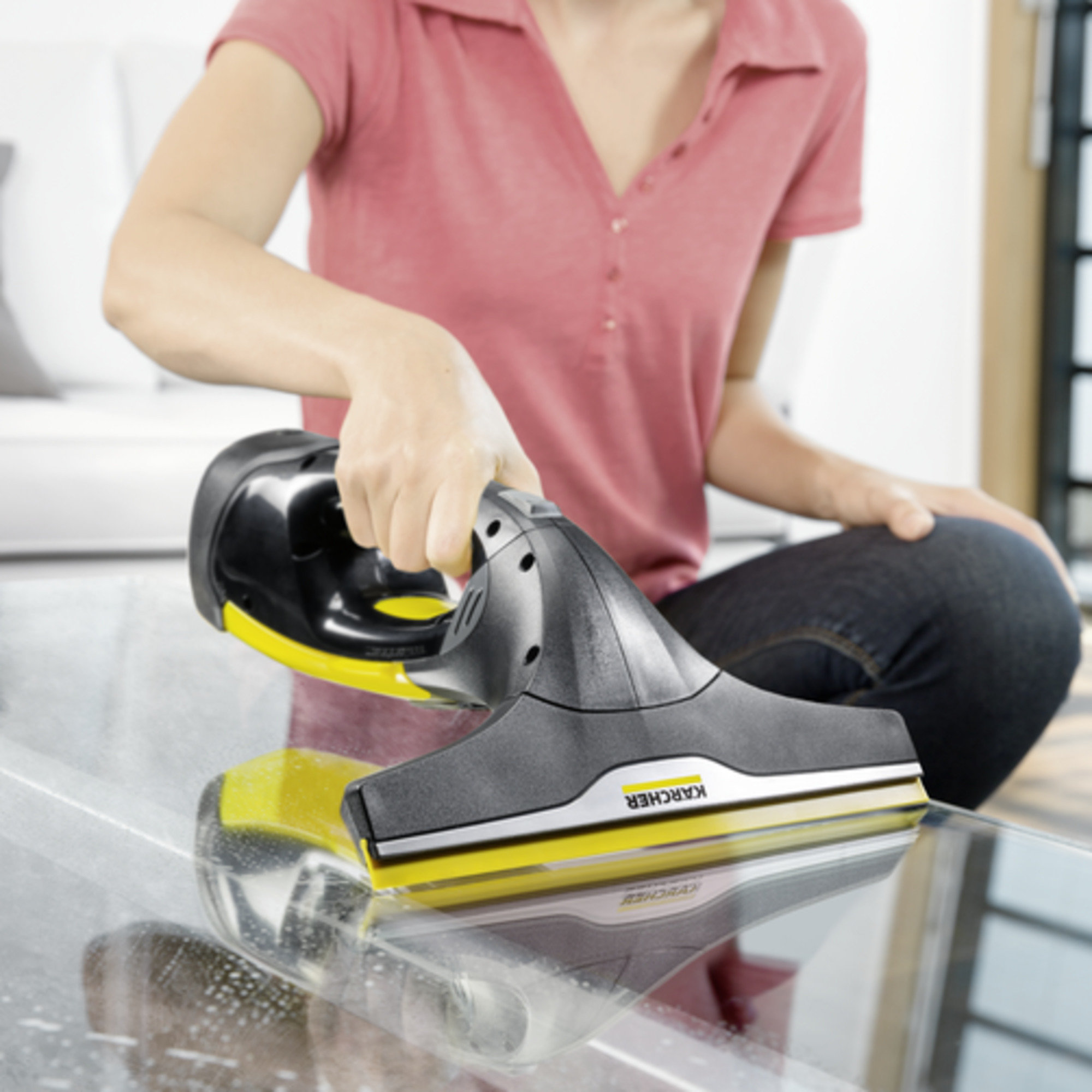 Karcher WV 2 Black Limited Edition (1.633-297.0) в магазині в Києві - фото 10