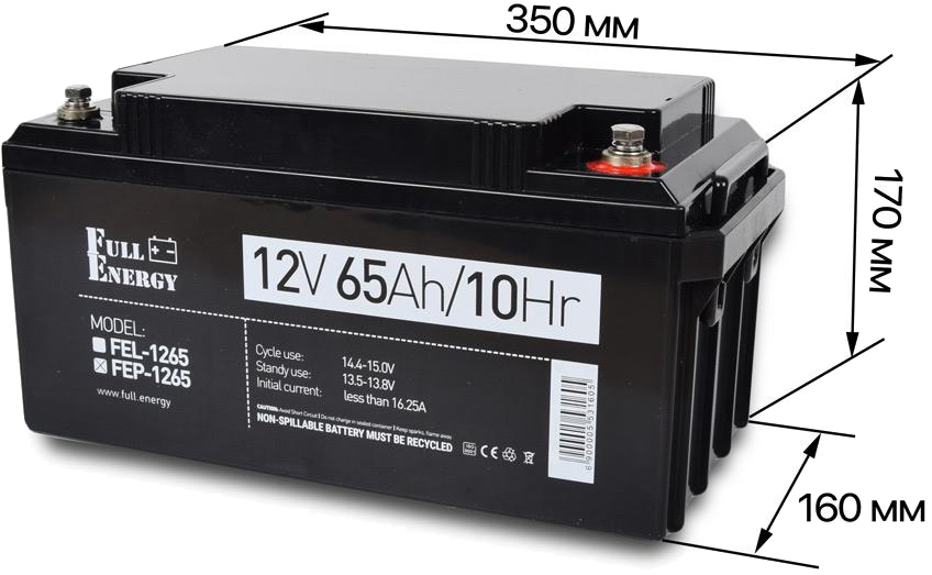 Аккумуляторная батарея Full Energy FEP-1265 цена 6919.00 грн - фотография 2