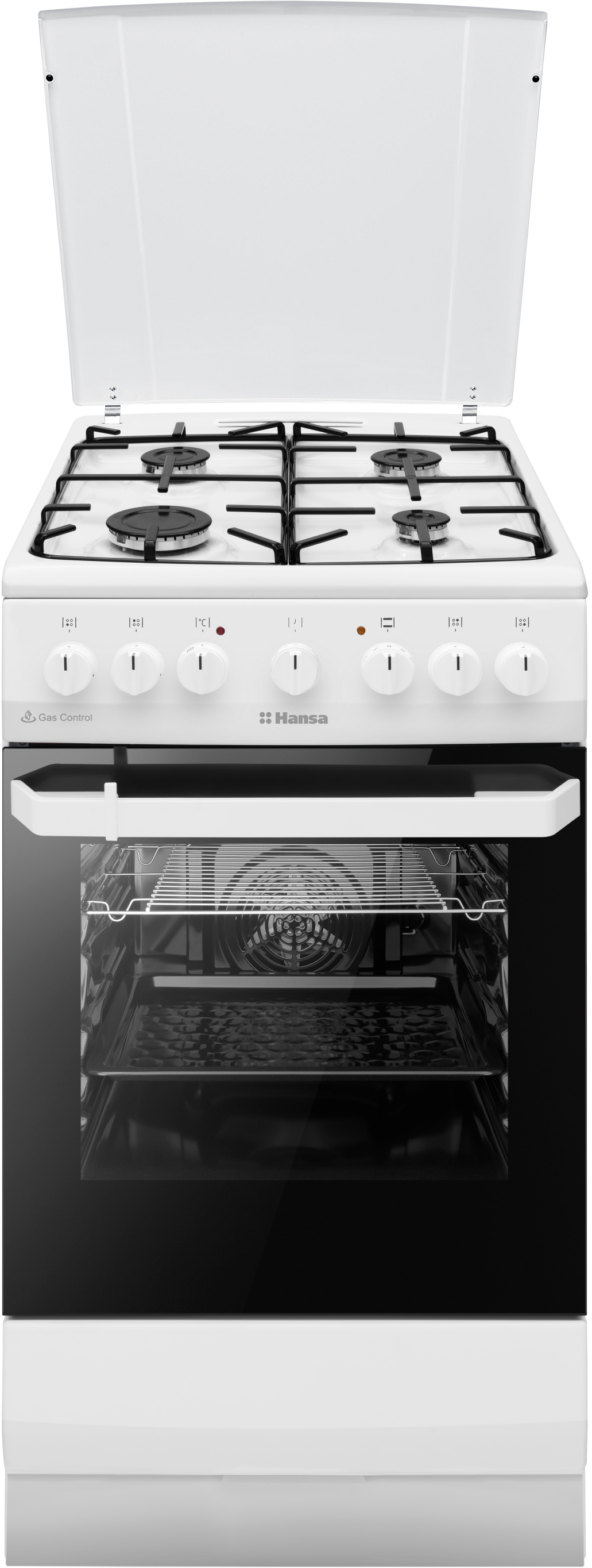 Кухонная плита Hansa FCMW581009 в интернет-магазине, главное фото