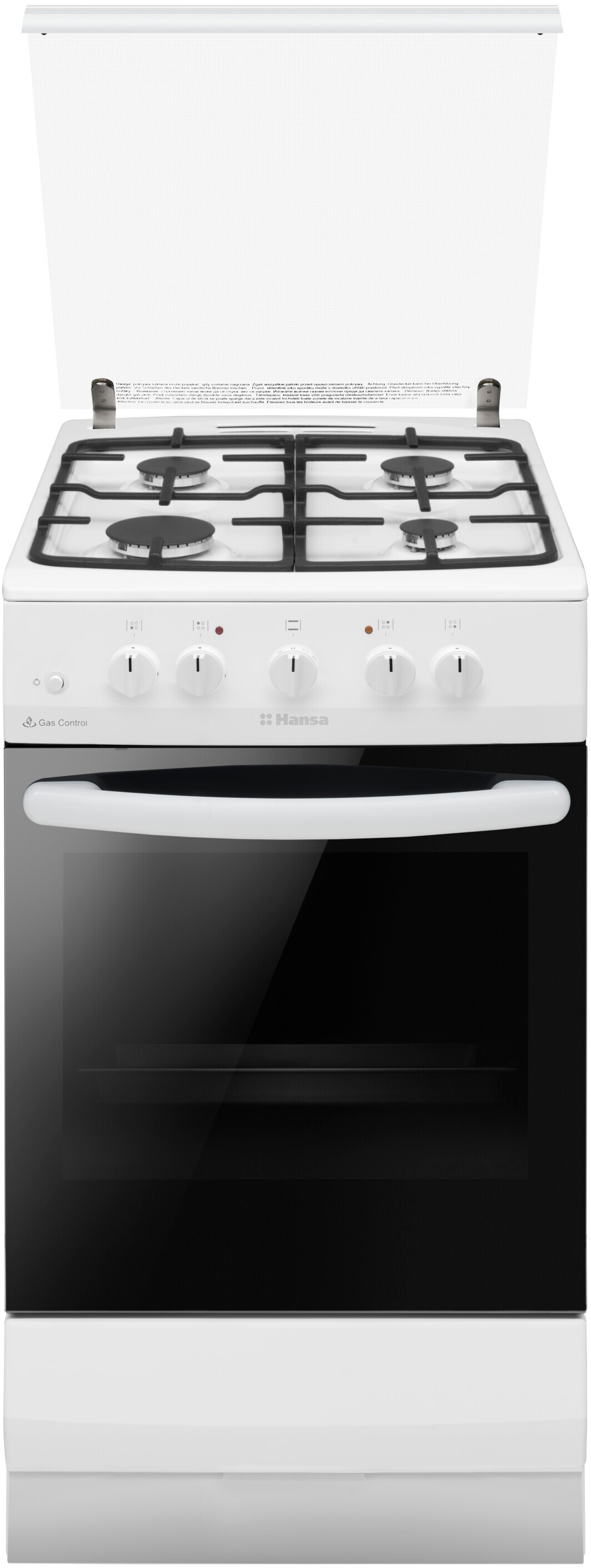 Кухонная плита Hansa FCGW530253