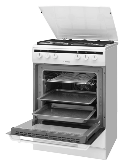 Кухонная плита Hansa FCMW68020 отзывы - изображения 5
