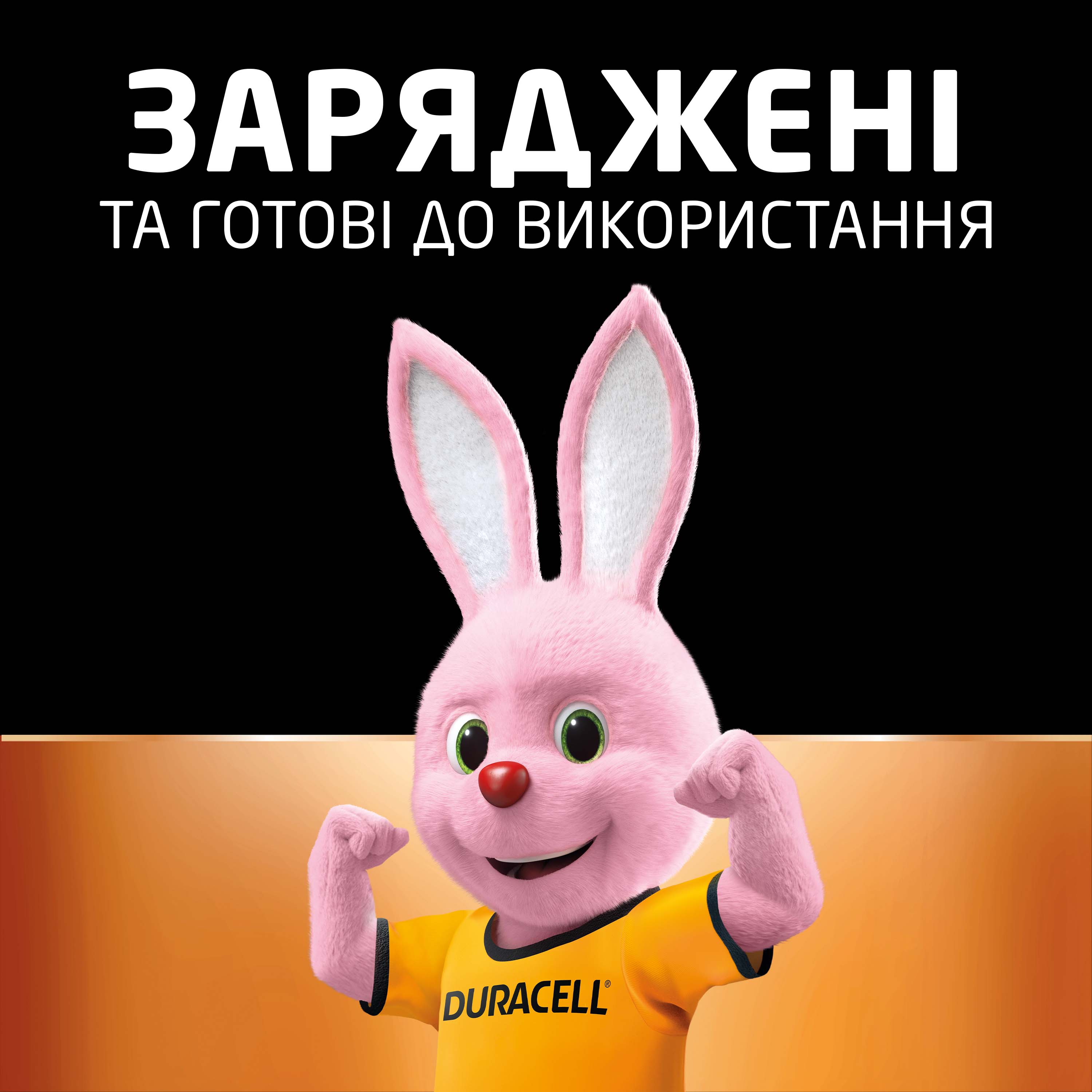 Аккумулятор Duracell Recharge AA 1300 mAh 4 шт. (5000394044982) обзор - фото 8