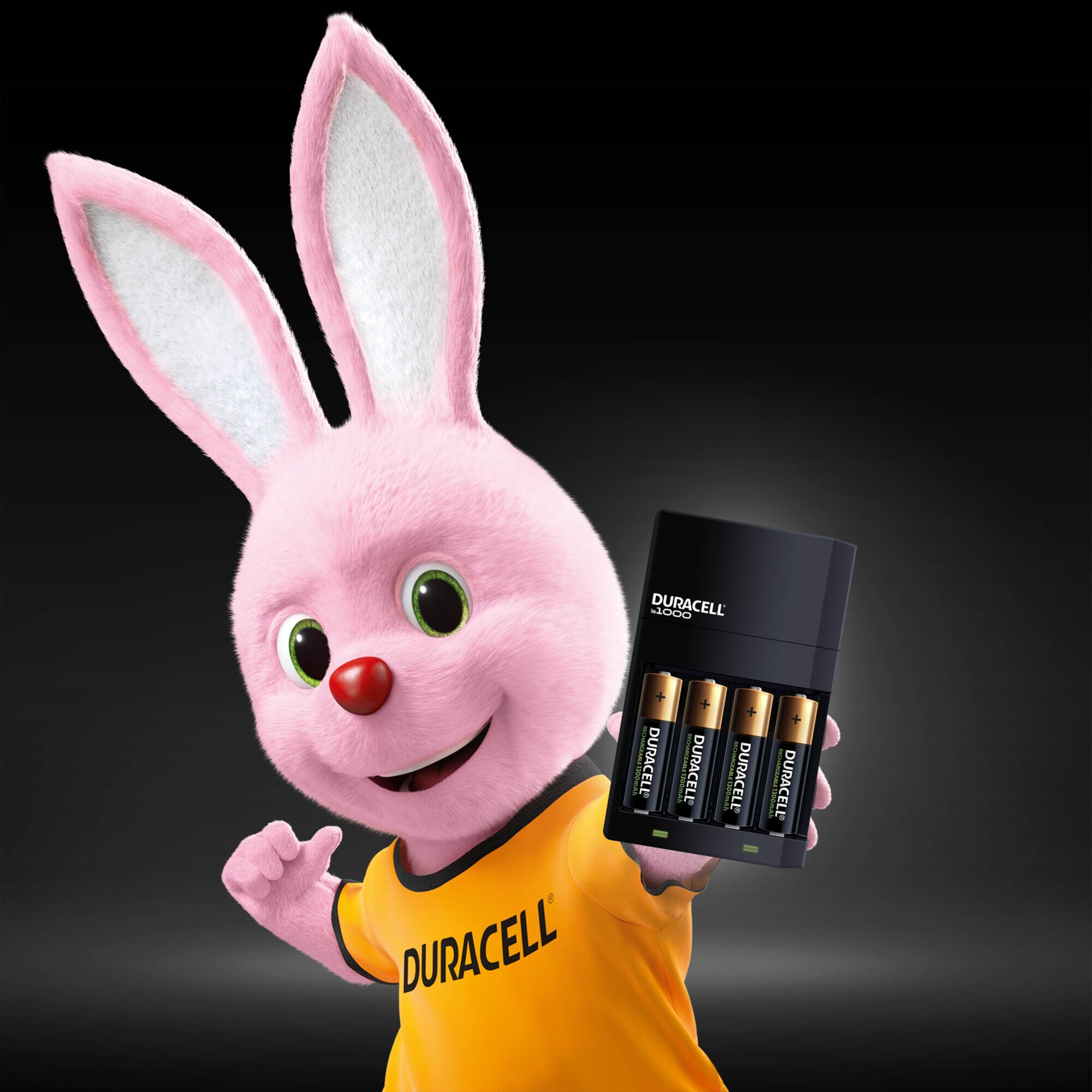 Зарядное устройство Duracell CEF 14+2 AA 1300mAh+2 AAA 750mAh (5000394114500) обзор - фото 8