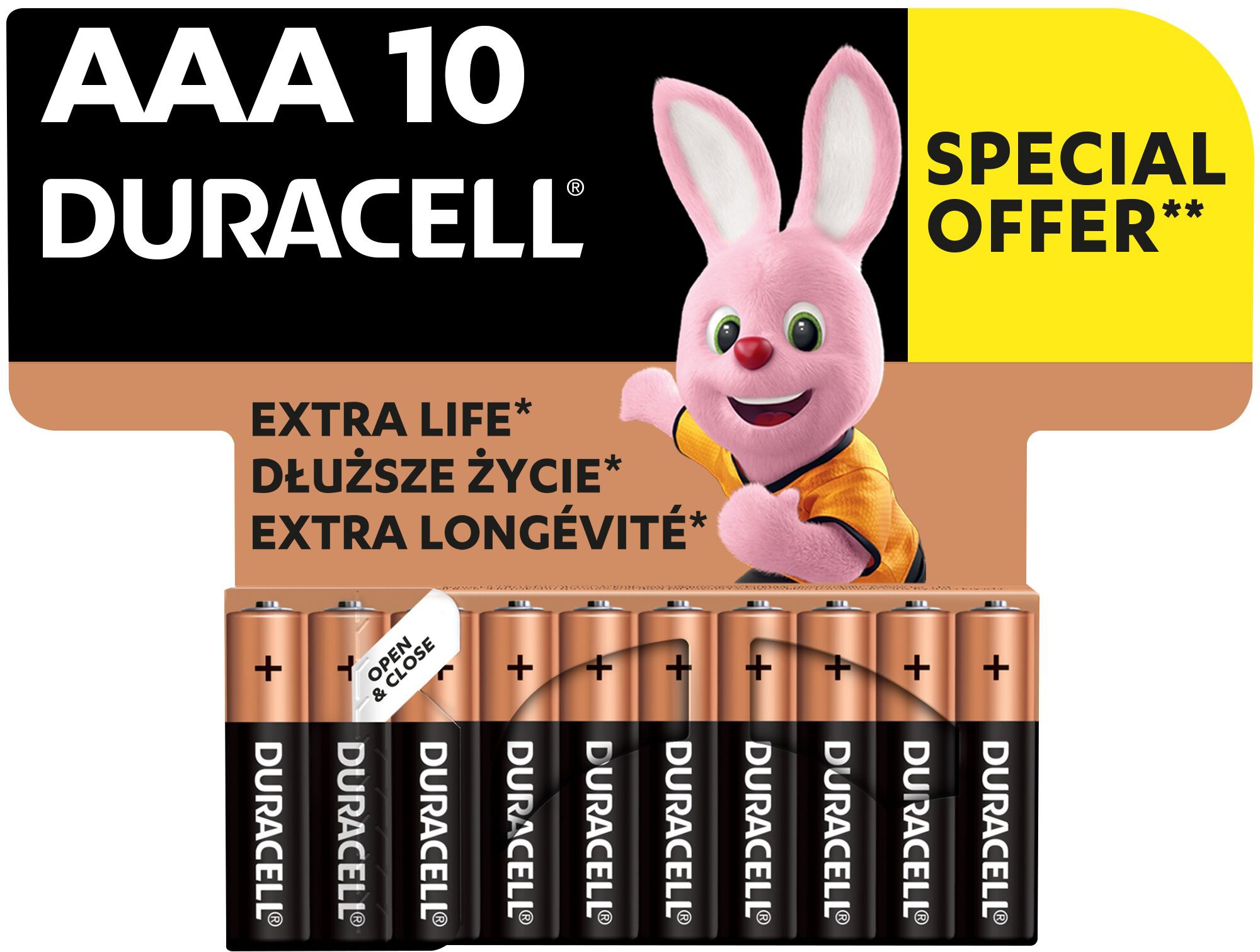 Батарейки типа ААА Duracell Basic AAA 1.5V LR03 10 шт. (5000394152557)
