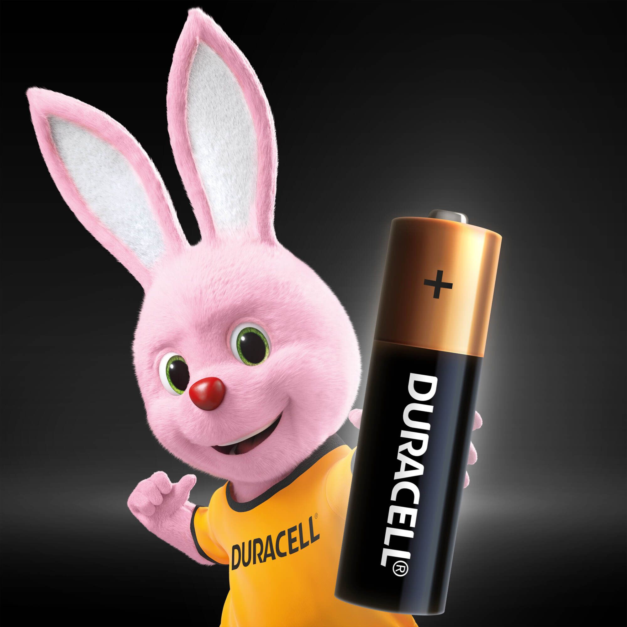 Батарейка Duracell Basic AAA 5 шт. (5000394160682) ціна 0 грн - фотографія 2