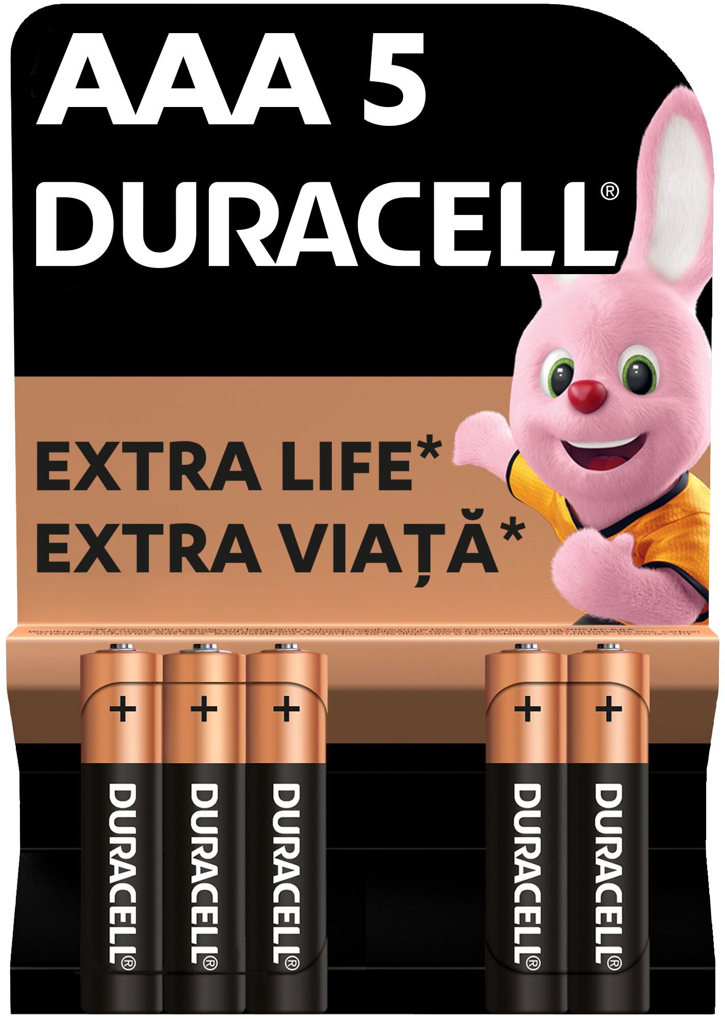 Батарейки типу ААА Duracell Basic AAA 5 шт. (5000394160682)