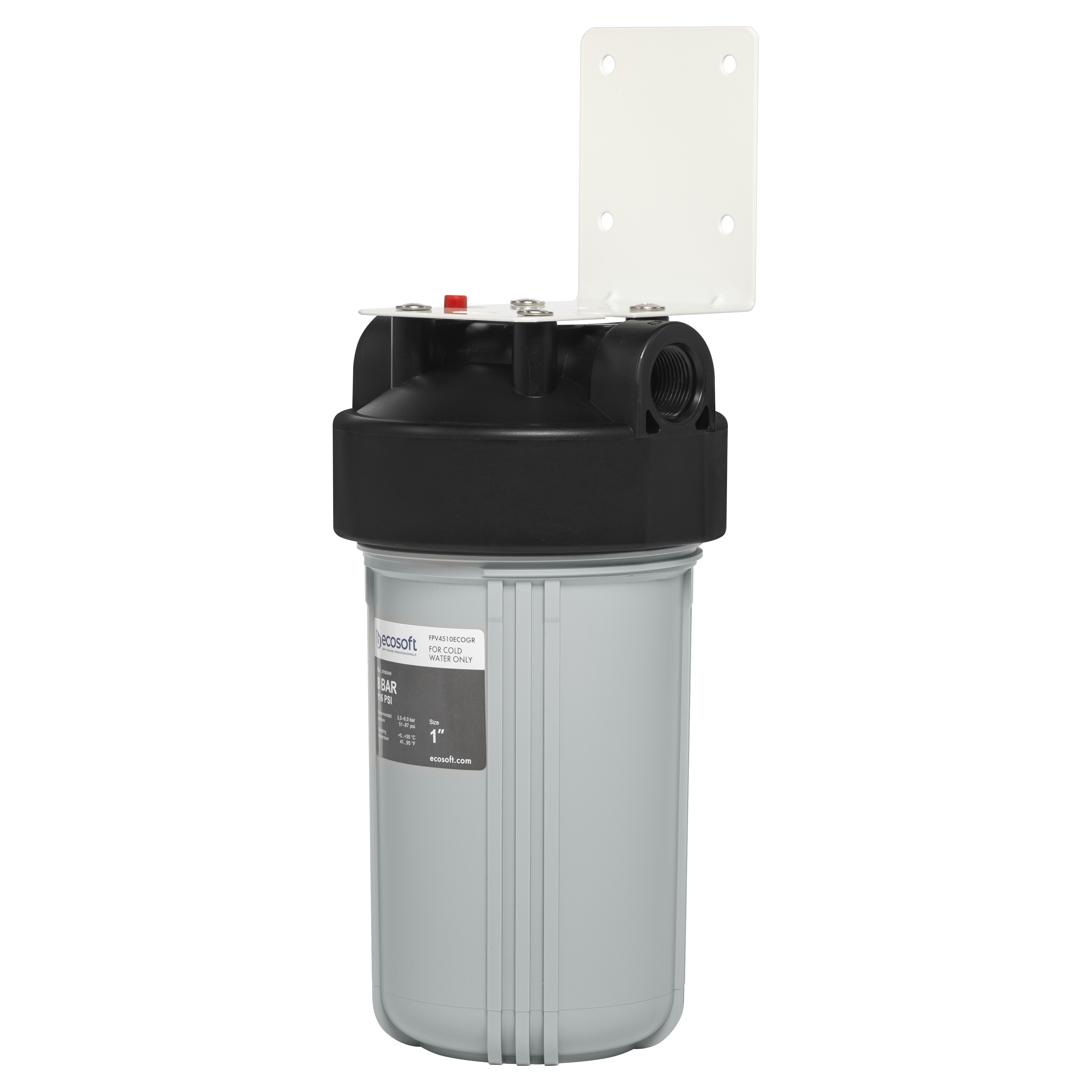 Характеристики фильтр для очистки воды от ржавчины и песка Ecosoft BB10 1" (FPV4510ECOGR)