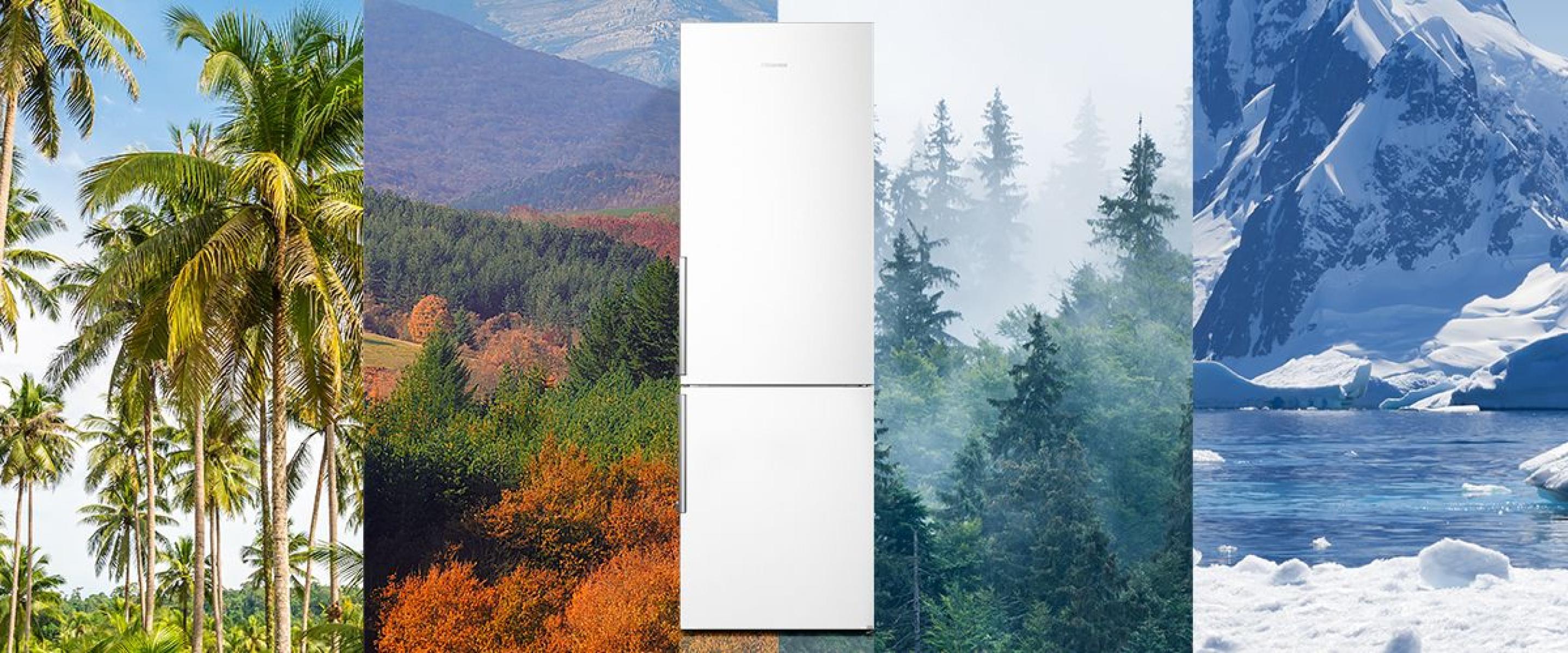 Холодильник Hisense RB343D4DWF зовнішній вигляд - фото 9