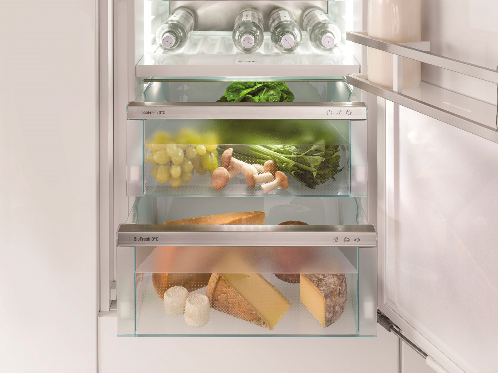 Холодильник Liebherr IRBd 5150 обзор - фото 8