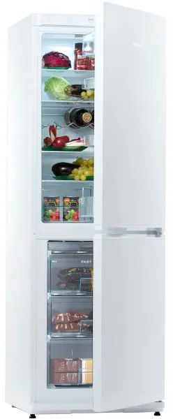 в продаже Холодильник Snaige RF31SM-S0002E - фото 3