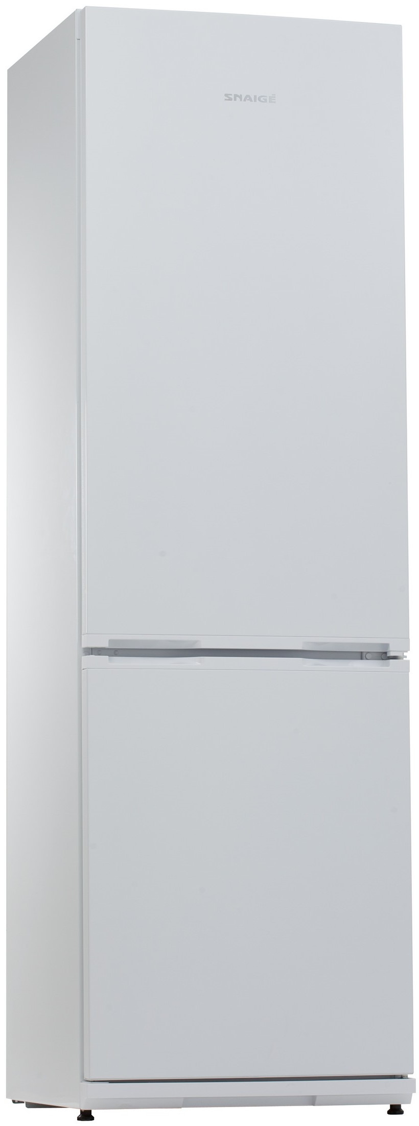 Холодильник Snaige RF36SM-S0002F в інтернет-магазині, головне фото