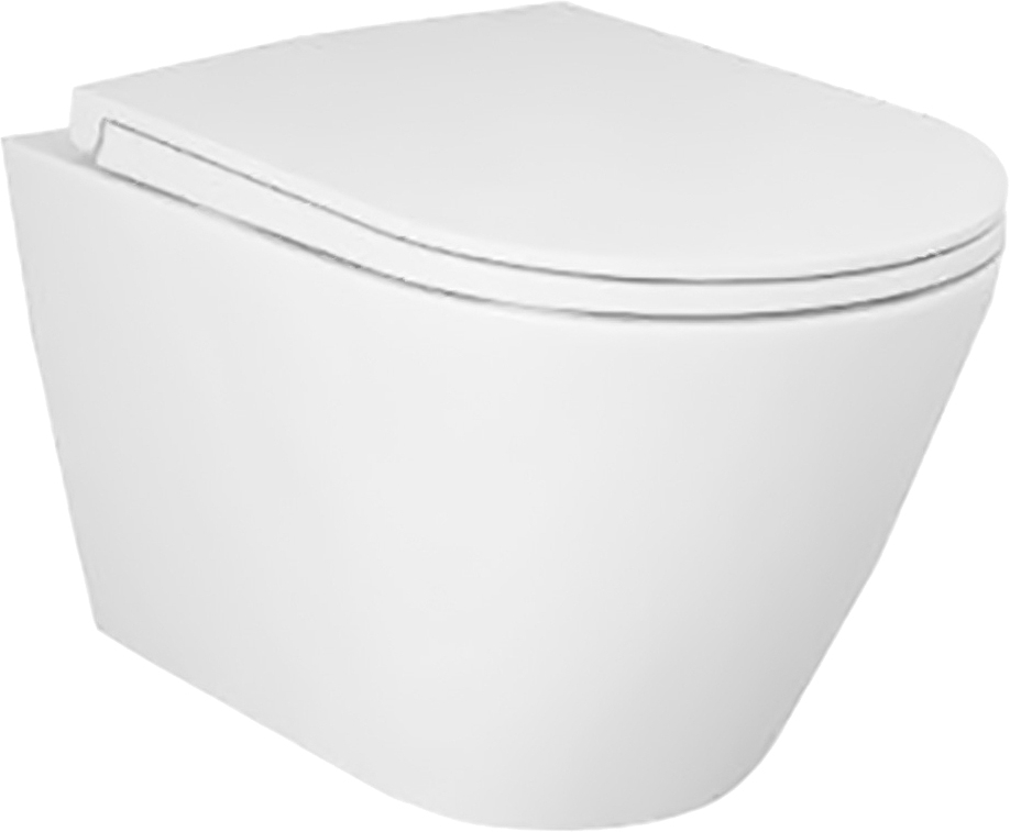 Rak Ceramics Feeling RST23500A+RSTSC3901500 без обідка з кришкою SLIM Soft Close