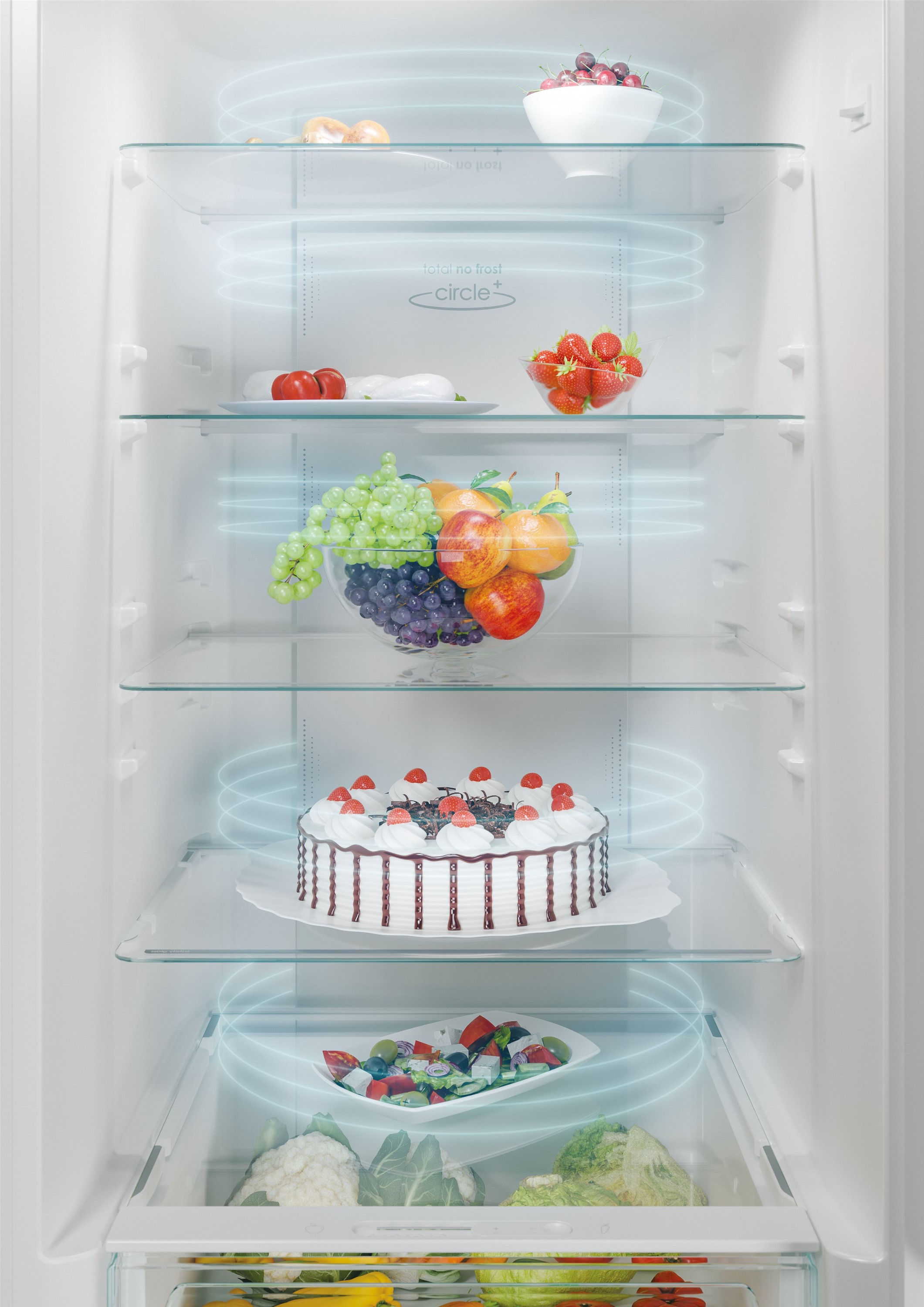 Холодильник Candy CCE4T620EWU характеристики - фотографія 7