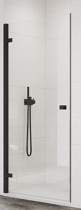 Двері душової кабіни San Swiss Annea AN1CG10000607 1000х2000 Black в інтернет-магазині, головне фото