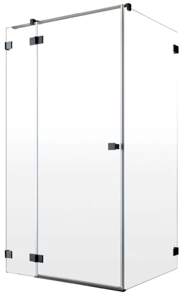 Двері душової кабіни Radaway Essenza Pro KDJ 110x200 (10097110-54-01L) в інтернет-магазині, головне фото