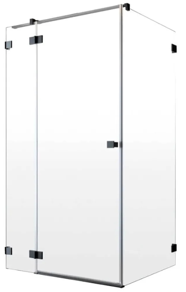 Radaway Essenza Pro KDJ 110x200 (10097110-54-01L)